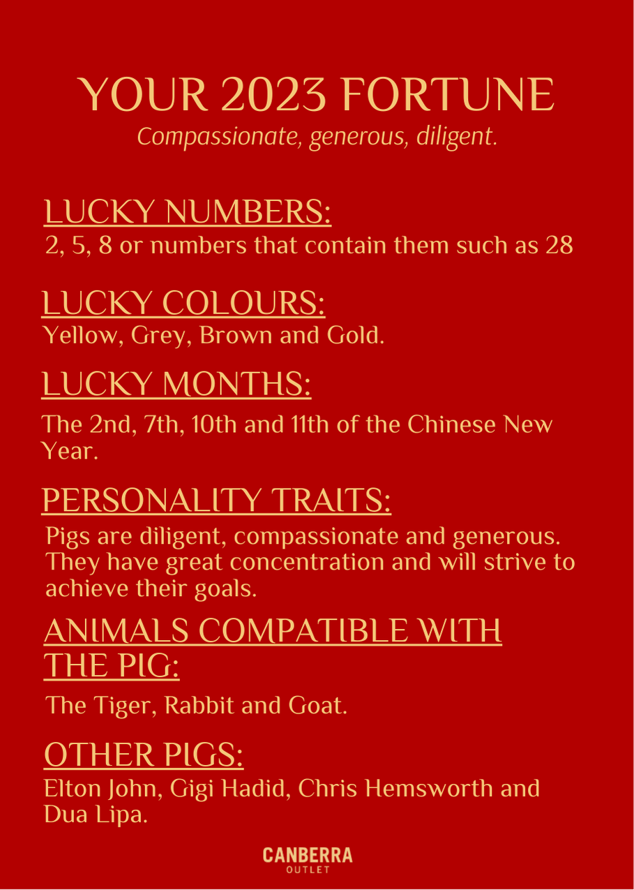 pig fortune