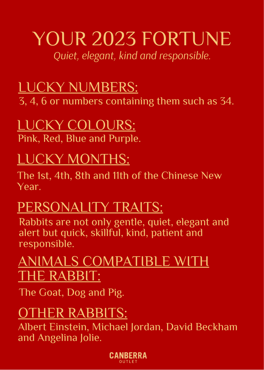 Rabbit Prediction