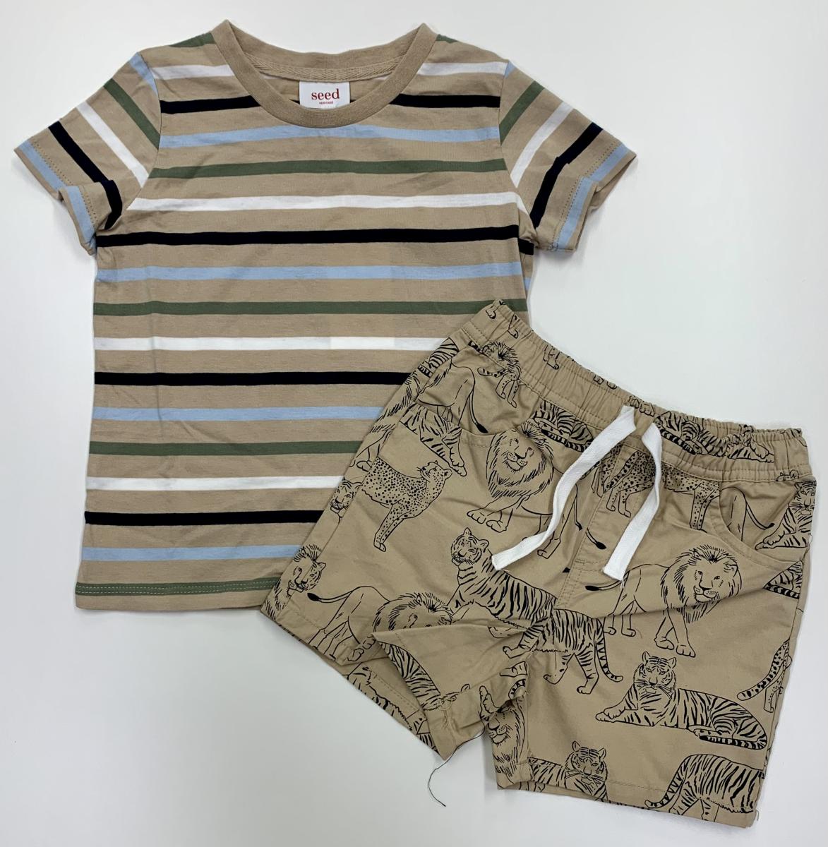 Brown Kids Clothing Set
